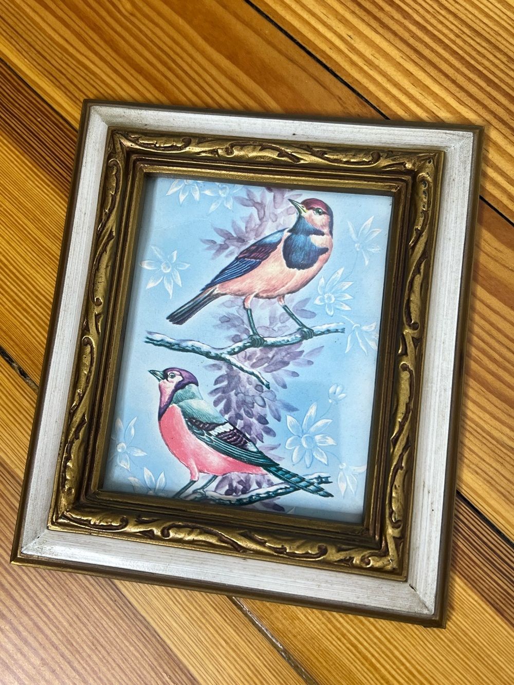 Ornate Framed Bird Wall Art Cottagecore Vintage Style Decor Plastic